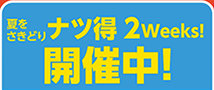 ナツ得