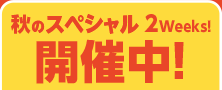 秋のスペシャルプライス