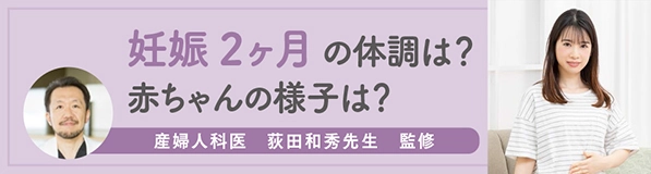 妊娠2ヶ月の体調は？赤ちゃんの様子は？