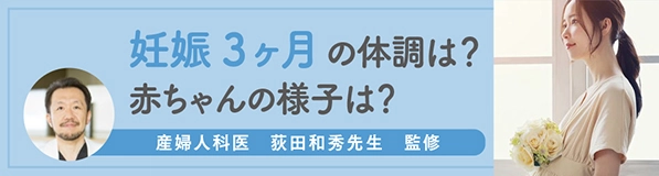 妊娠3ヶ月の体調は？赤ちゃんの様子は？