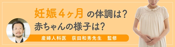 妊娠4ヶ月の体調は？赤ちゃんの様子は？