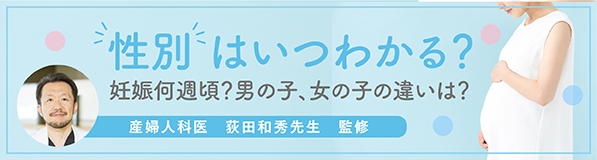 性別はいつわかる？妊娠何週頃？男の子、女の子の違いは？