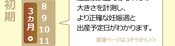 妊娠初期（3カ月）9～10週　超音波検査で赤ちゃんの大きさを計測し、より正確な妊娠週と出産予定日がわかります。