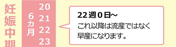 妊娠中期（6カ月）22週0日～　これ以降は流産ではなく早産になります。