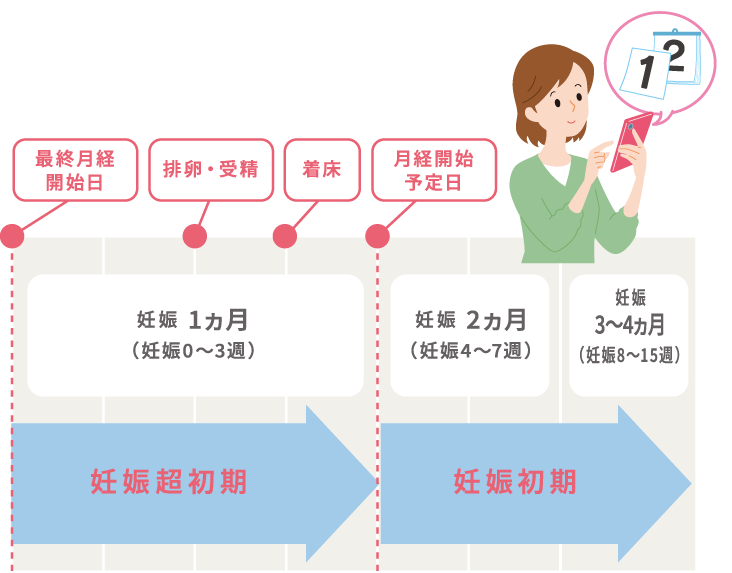 妊娠超初期（妊娠１ヶ月）、妊娠初期（妊娠２ヶ月、妊娠3〜４ヶ月）
