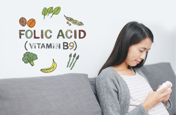 葉酸 FOLIC ACID (Vitamin B9)のイメージ画像