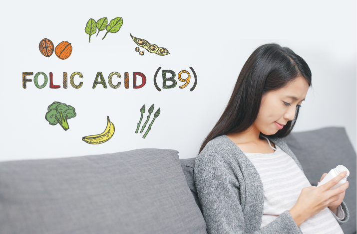 葉酸 FOLIC ACID (Vitamin B9)のイメージ画像