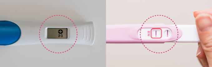 妊娠検査薬の判定の方法