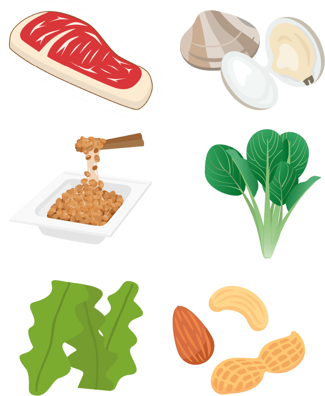牛肉、アサリ、納豆、小松菜、ナッツ類、海藻類のイラスト