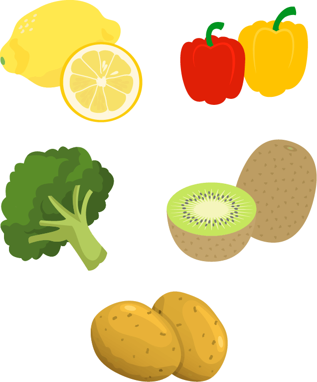 柑橘類をはじめとする果物、野菜、イモ類のイラスト