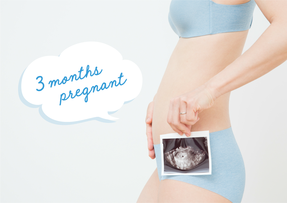 妊娠3ヶ月 妊娠8 11週 の体調は アカチャンホンポ
