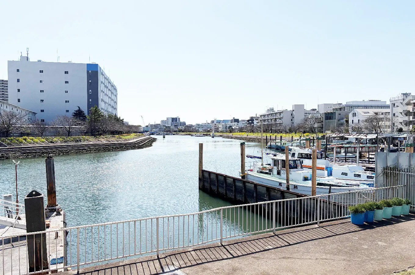 品川区の水辺の風景