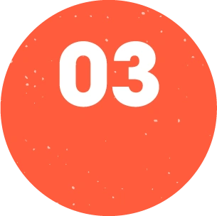 03