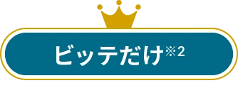 ビッテだけ※2