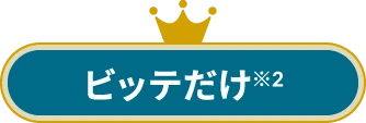 ビッテだけ※2