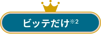 ビッテだけ※2