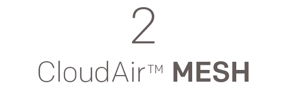 2 CloudAir™ MESH