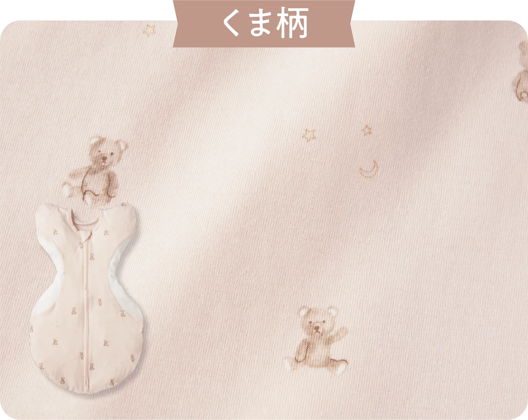 くま柄 | イメージ画像