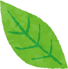 葉っぱ ｜ イラスト