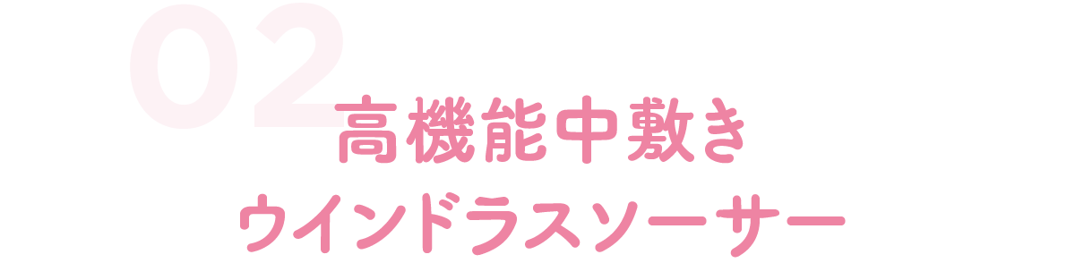 高機能中敷きウインドラスソーサー