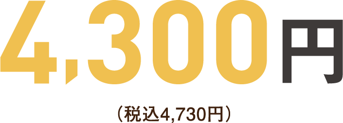 4,300円（税込4,730円）