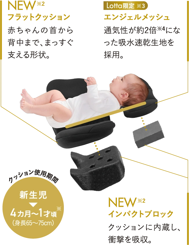 NEW ※2 フラットクッション 赤ちゃんの首から背中まで、まっすぐ支える形状。 Lotta限定 ※3 エンジェルメッシュ 通気性が約2倍※4になった吸水速乾生地を採用。 NEW ※2 インパクトブロック クッションに内蔵し、衝撃を吸収。 クッション使用期間 新生児 ▶ 4カ月~1才頃※(身長65〜75cm)